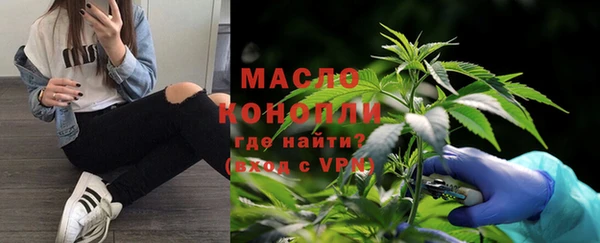 шишки Арсеньев