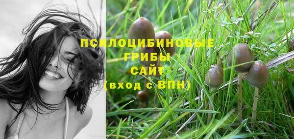 тгк Алексеевка