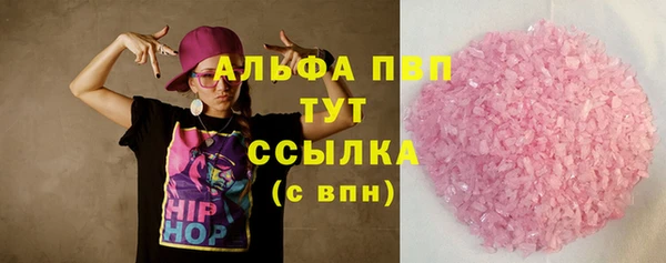 шишки Арсеньев