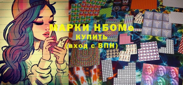 шишки Арсеньев