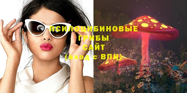 дмт Алексин