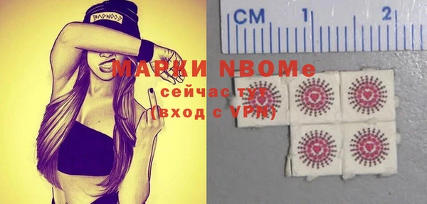 шишки Арсеньев
