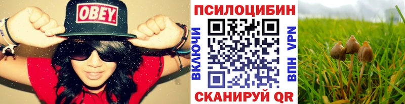 Псилоцибиновые грибы GOLDEN TEACHER  Крым 